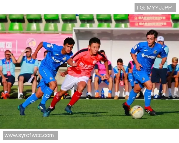 波蒂蒙尼斯与费雷拉的精彩对决揭示足球战术与团队协作的完美结合