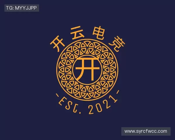了解开云电竞